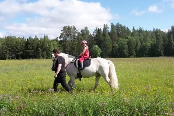 Family ride