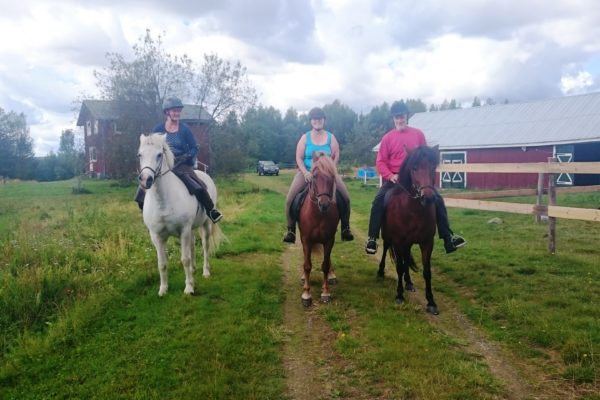 Start family ride