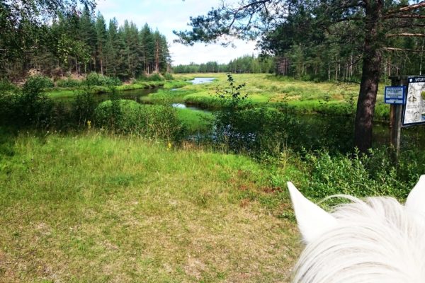 Svansele natural reserve from horseback